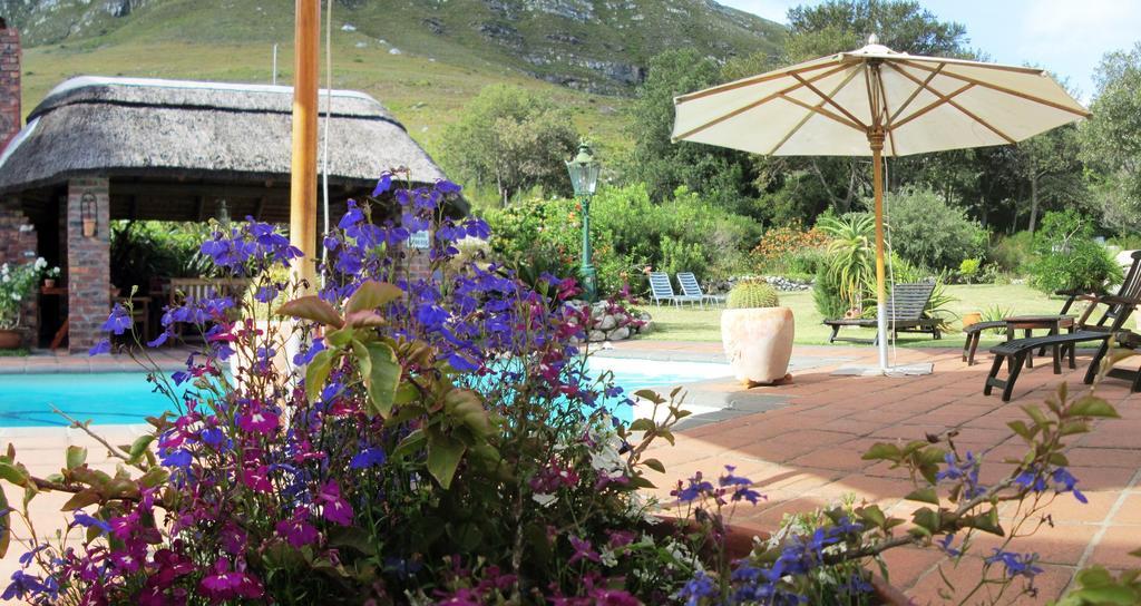 Von Abercron Residence Hermanus Kamer foto